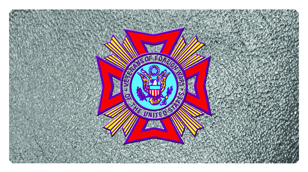 DSC700 417 SH SL VFW Shimmer Silver Background